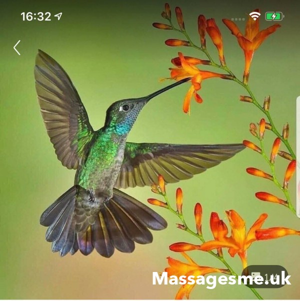 Best Deep Tissue Massage And Relaxing Massage In Old Sarum Near Salisbury